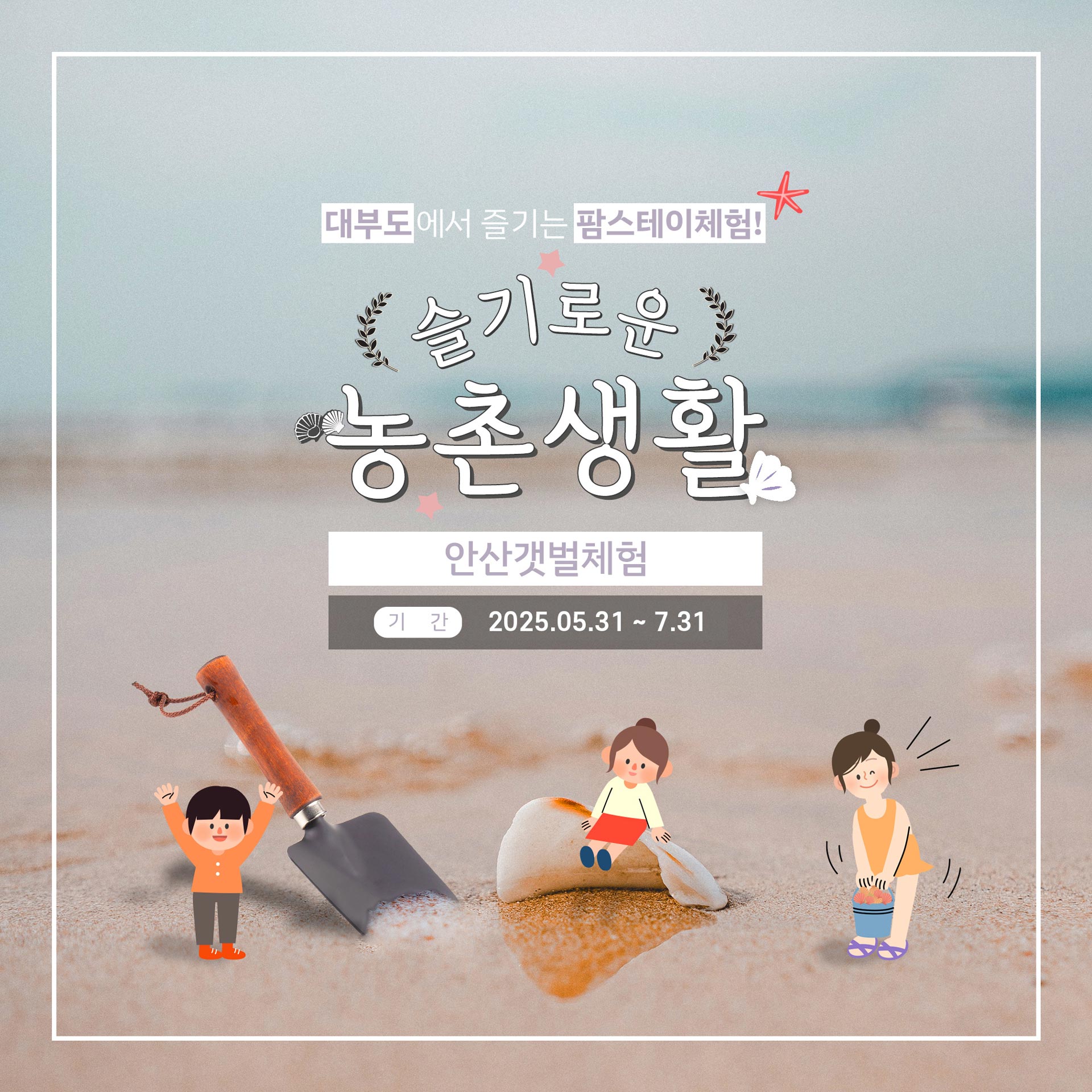 슬기로운 농촌생활 안산갯벌체험