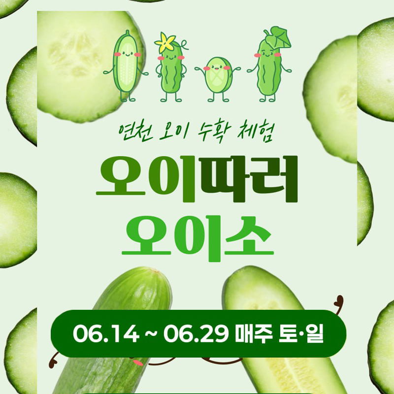 오이체험
