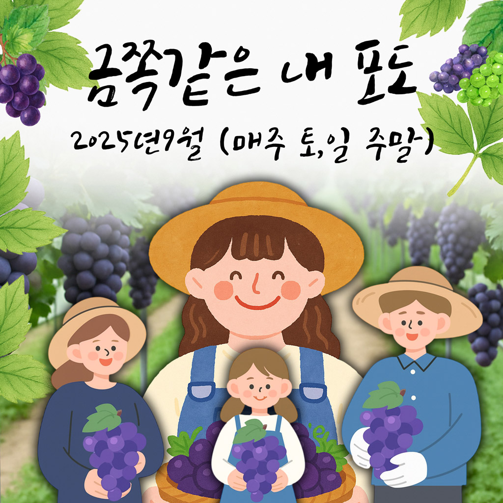 금쪽같은내포도