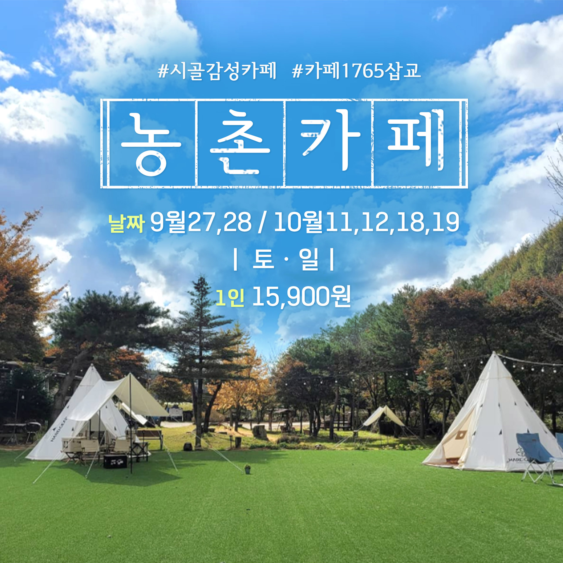 농촌카페