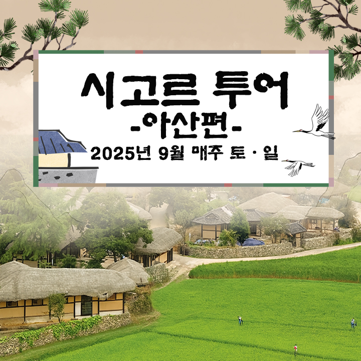 시고르투어