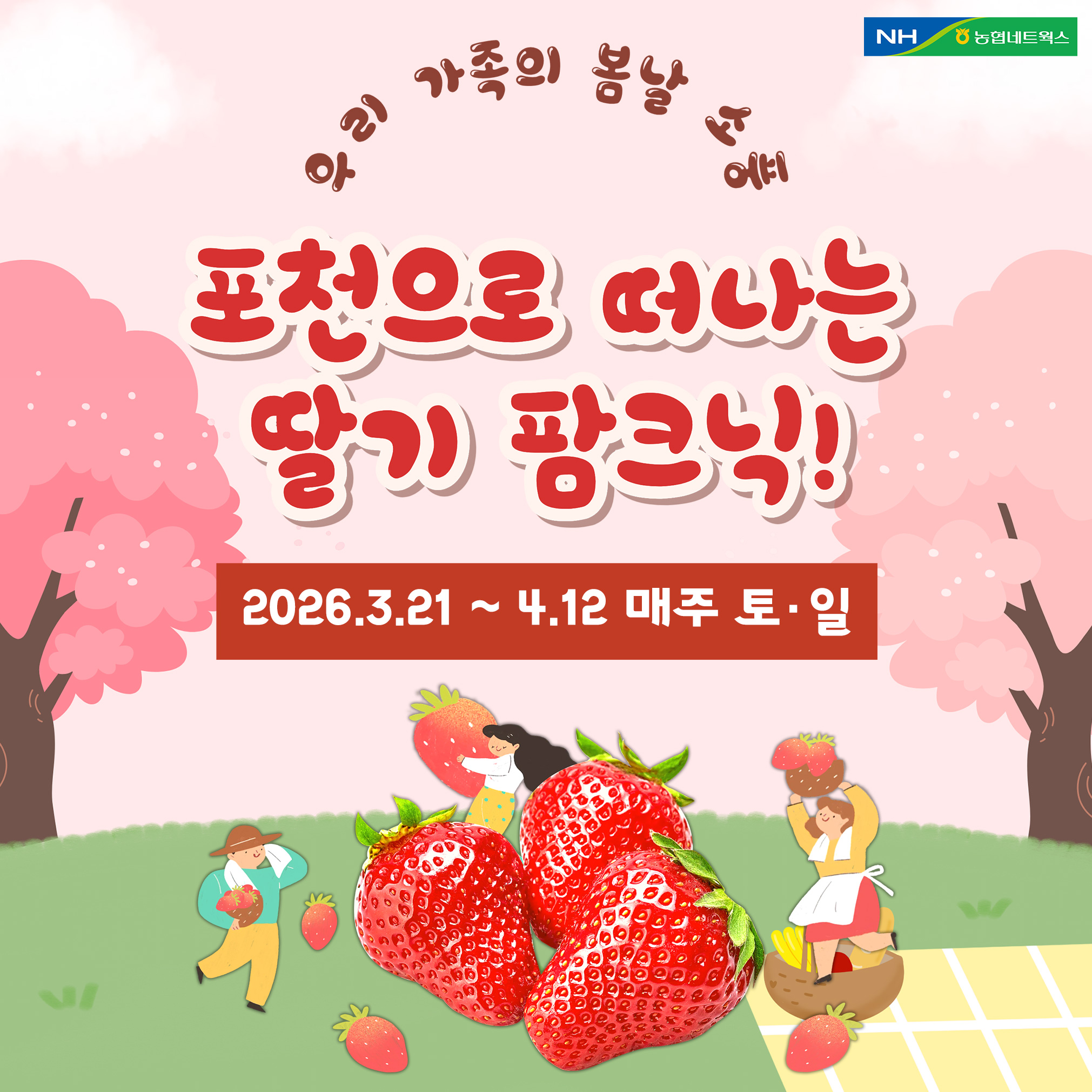 포천으로떠나는딸기팜크닉