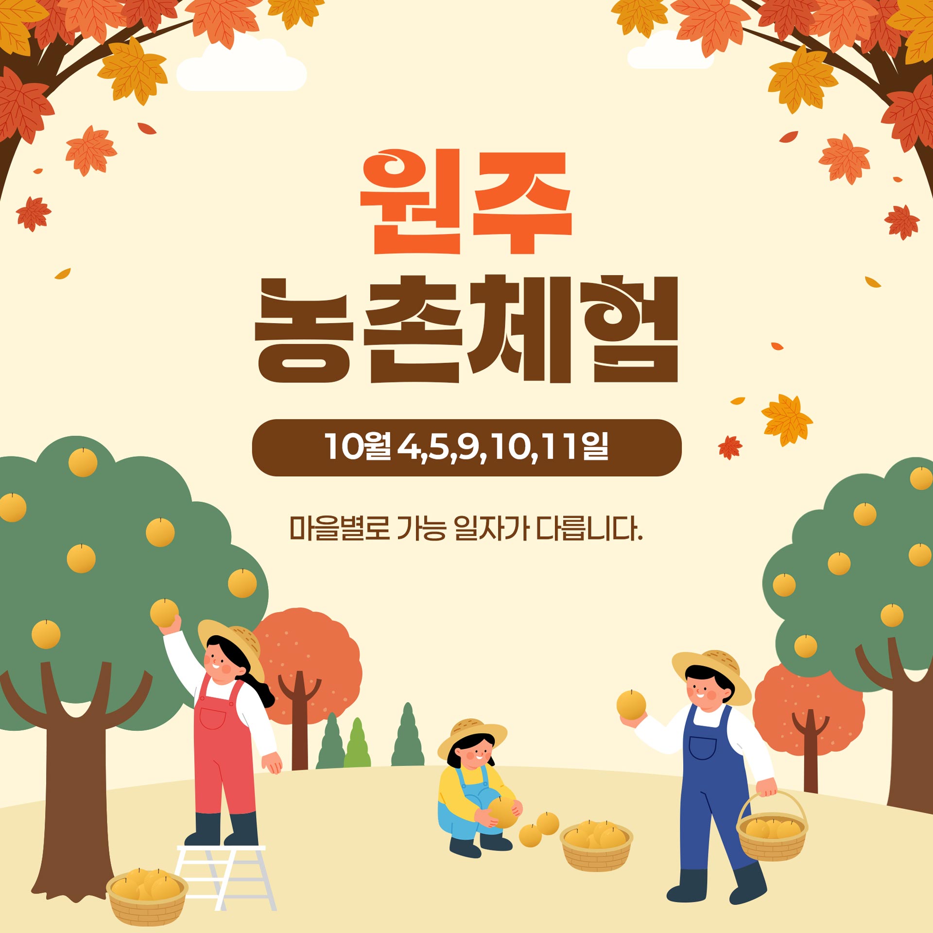 원주농촌체험