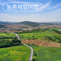 농촌체험여행